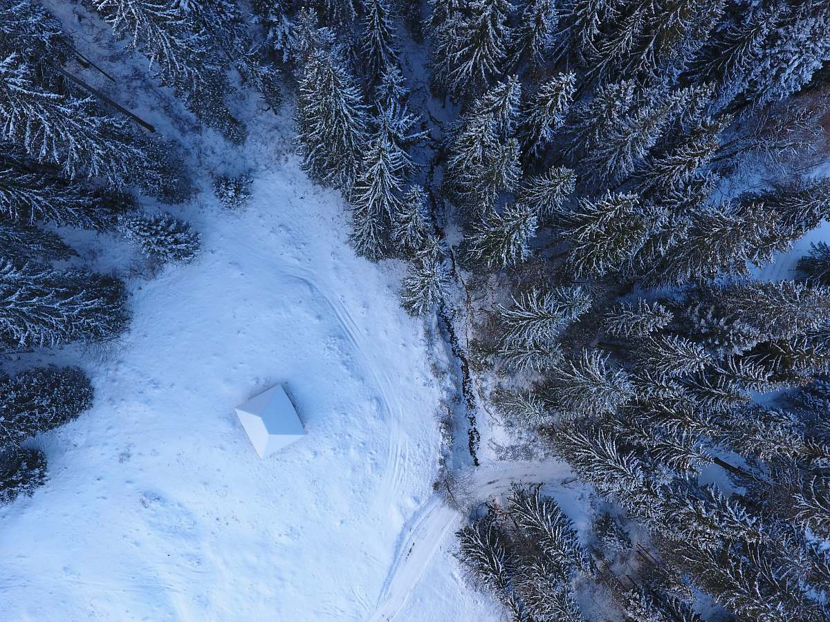 drone view aerial view of snow capped forest aerial view